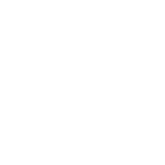 Young Group logo